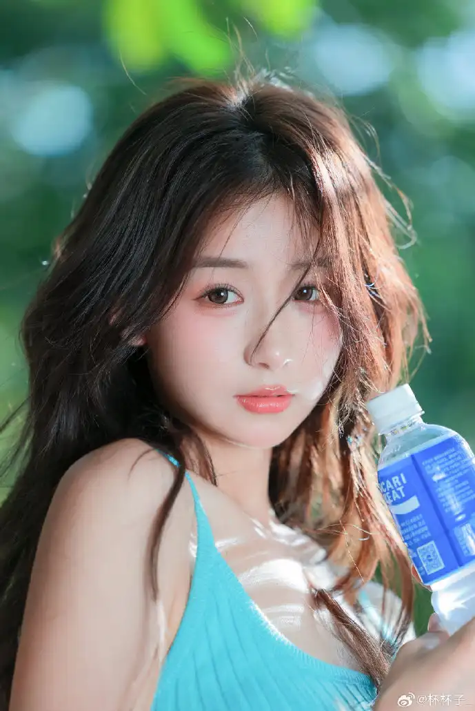 阿瓦隆下载操作界面